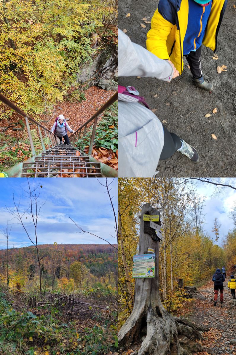 Wejście na Biskupią Kopę od parkingu w Pokrzywnej