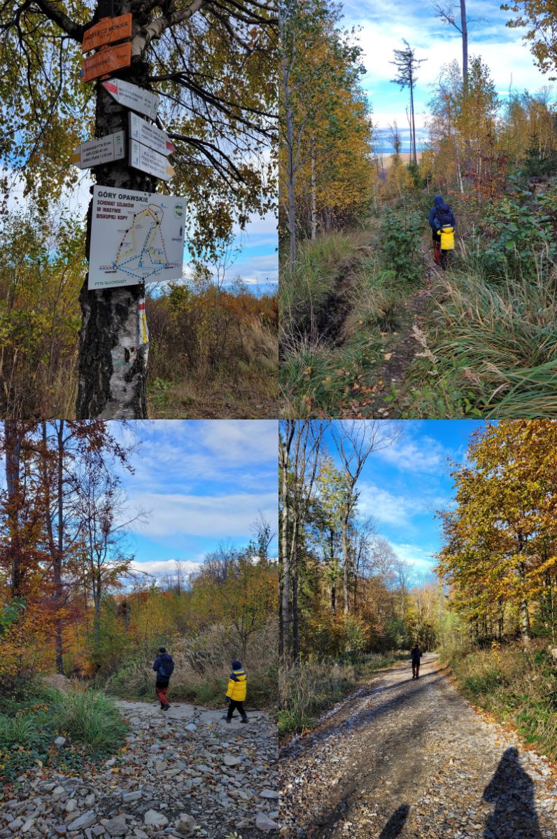 Trasa z Biskupiej Kopy do Pokrzywnej