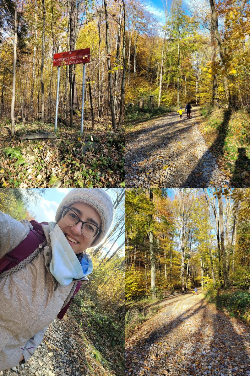 Trasa z Biskupiej Kopy do Pokrzywnej przez Cichą Dolinę