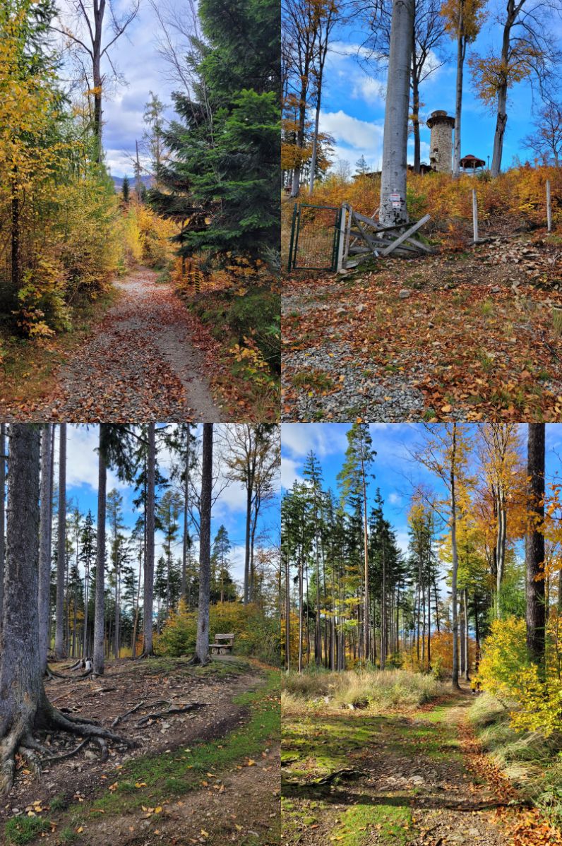 Głuchołazy - droga do Kaplicy pw. św. Anny i zamknięte schronisko