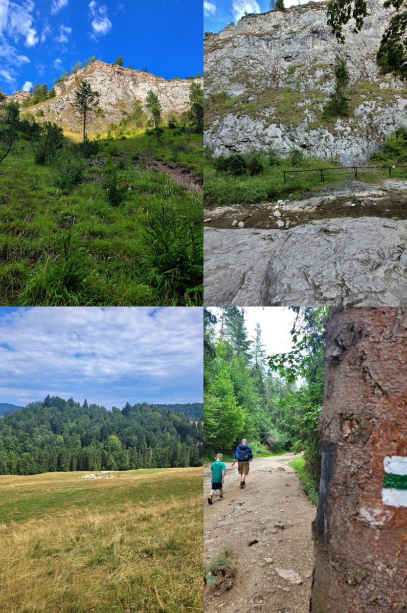 Wejście na Wysoką: 1-2 Wąwóz Homole | 3 Jawor z widokiem na stado pasących się owiec | 4. Na górskim szlaku